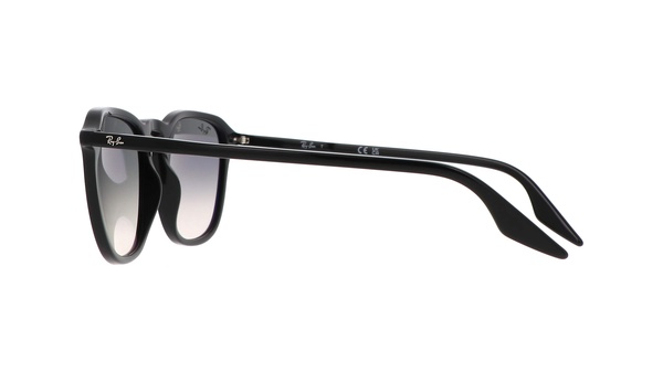 Rayban RB 2203 901/32 55