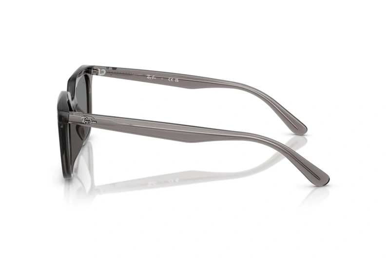 Rayban RB 4439D 6675/87 54-21