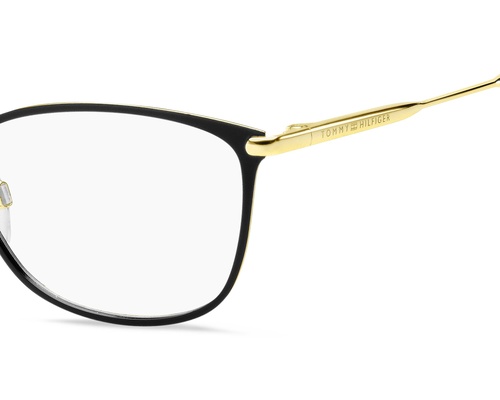 T.hilfiger TH 1637 2M2 55-17